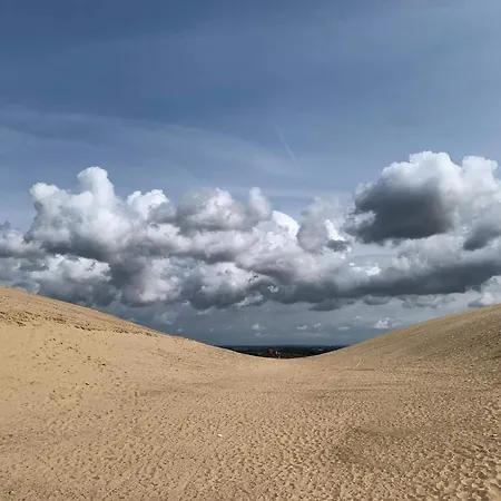 펜션 Beachside Serenity-by Traum